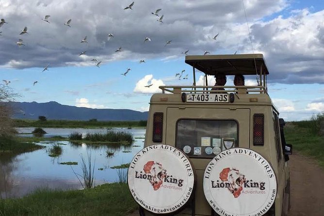 12 days Luxury Tanzania Honeymoon Safari and Zanzibar - Day 2: Elephants and dry-season water at Tarangire