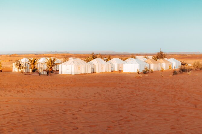 2 Days Desert Private Luxury Couple's Retreat Camel Trek + Quad - Day 2: quad bikes, open dunes, and a change of scenery
