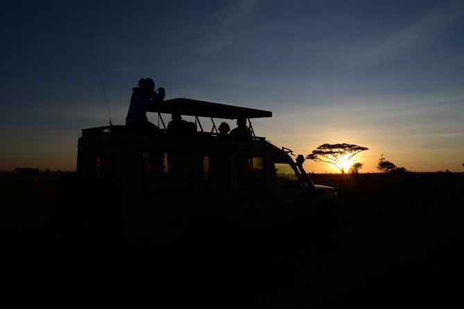 4 days Authentic honeymoon safari Serengeti and ngongoro crater - Meals, drinks, and the honeymoon question