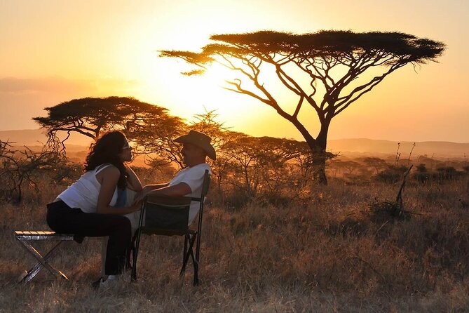 4 days Authentic honeymoon safari Serengeti and ngongoro crater - Day three: a final Serengeti search and the move to Ngorongoro