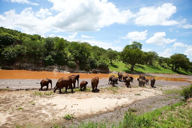 6-Day Honeymoon Safari Tour Package in Tanzania - Key points at a glance