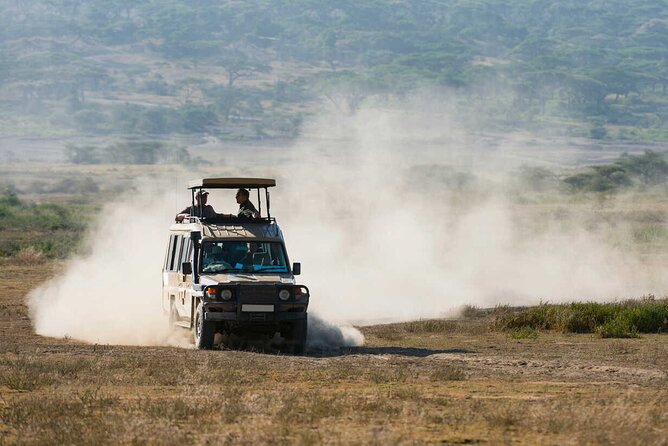 6-Day Honeymoon Safari Tour Package in Tanzania - Day 2: Tarangire’s elephants and baobab country