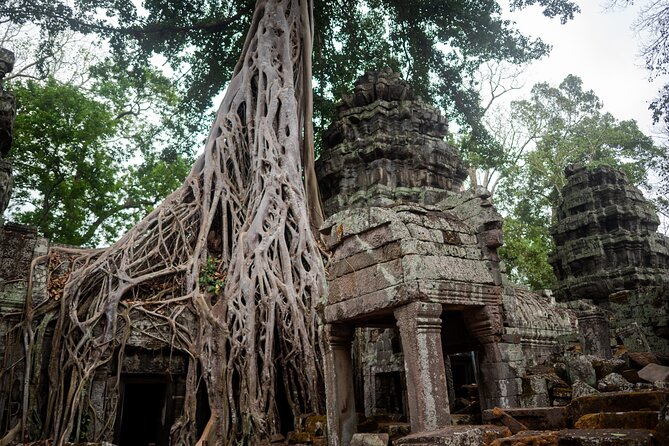 6-hour Angkor Sunrise & Private Tour (Solo, Couple & Family ) - A local coffee stop, water, and cool towels