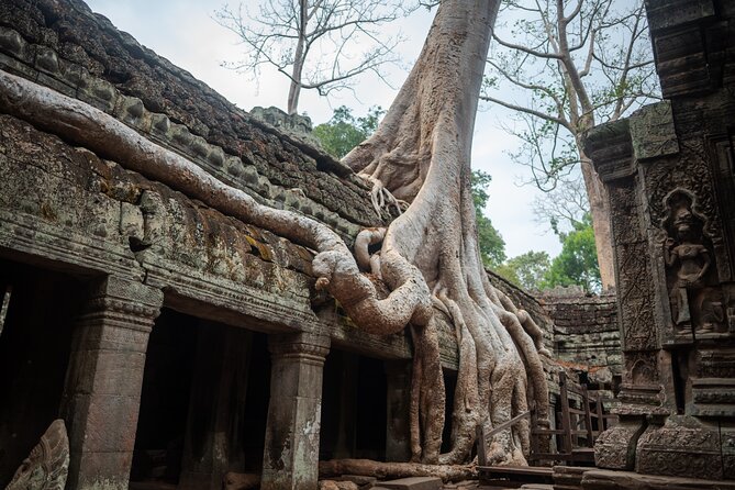 6-hour Angkor Sunrise & Private Tour (Solo, Couple & Family ) - Tuk-tuk or air-conditioned car?