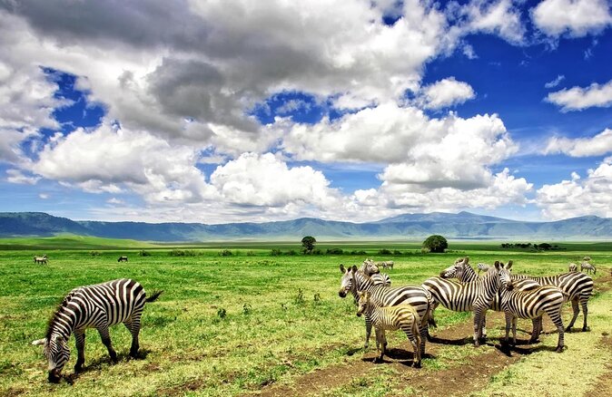 9-Day Ultimate Tanzania Honeymoon Safari Luxury Package - Key points to know before booking