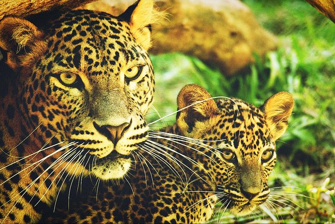 All in one Sri lanka 7nights 8 days for couple price - Bentota adds a coastal finish
