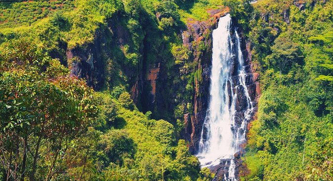 All in one Sri lanka 7nights 8 days for couple price - What the private format really gives you