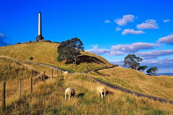 Auckland City Private Tour for Couples. Be chauffeur driven with added extras. - Starting at Maungawhau, Auckland’s volcanic viewpoint