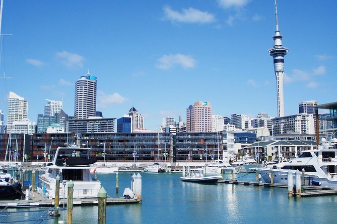 Auckland City Private Tour for Couples. Be chauffeur driven with added extras. - Parnell and the rose gardens