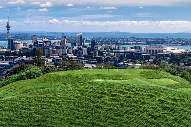 Auckland City Private Tour for Couples. Be chauffeur driven with added extras. - Little Shoal Bay and the downtown view