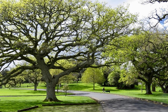 Auckland City Private Tour for Couples. Be chauffeur driven with added extras. - Devonport, North Head, and the longest stop