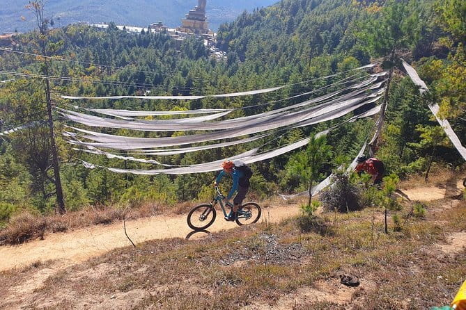 Bhutan Honeymoon Tour - Day Five: Gangtey Forest and Local Beer