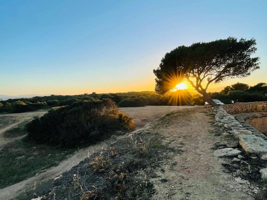 Cala Millor: AdventureDate, fun game, city walk for couples - Who will enjoy the $15 game most?