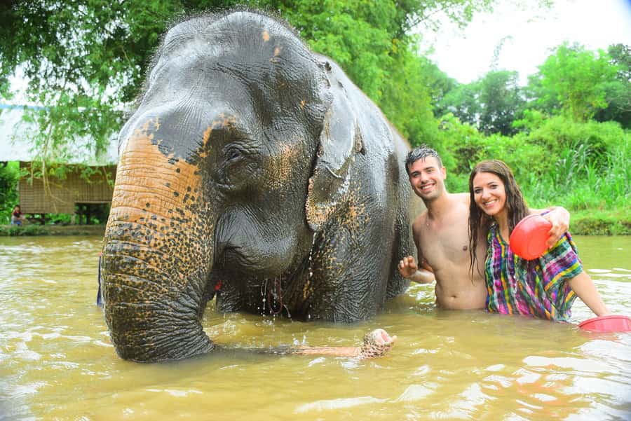 Chiang Mai: Private Elephant Care Experience for Couples - Cooking Pad Thai before lunch