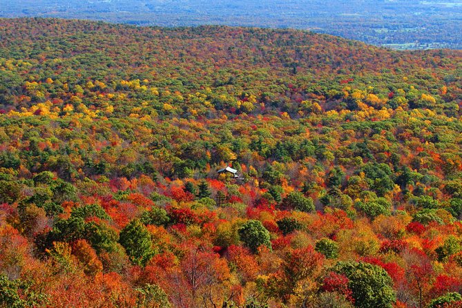 Couple's Private Hudson Valley Fall Foliage Helicopter Tour from Westchester - Is $950 good value for two?