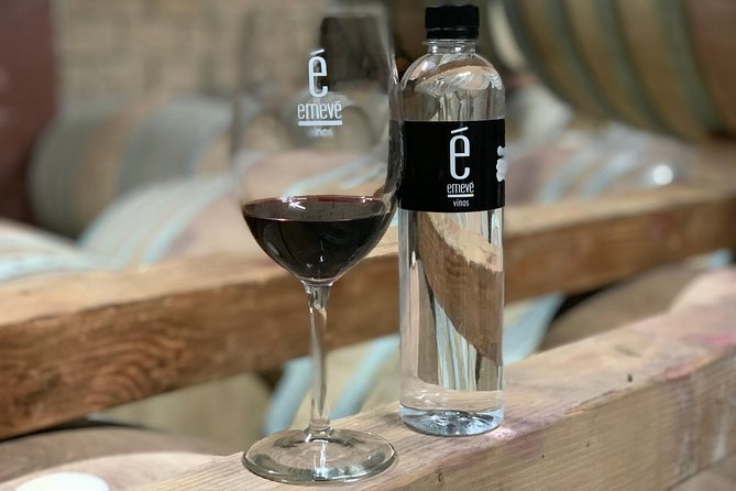 Couple Tour - Choosing between Monte Xanic and the smaller wineries