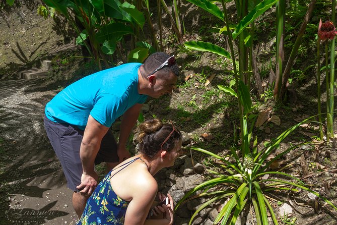 Couples Private St. Lucia Highlights Tour - A Creole lunch with Piton views
