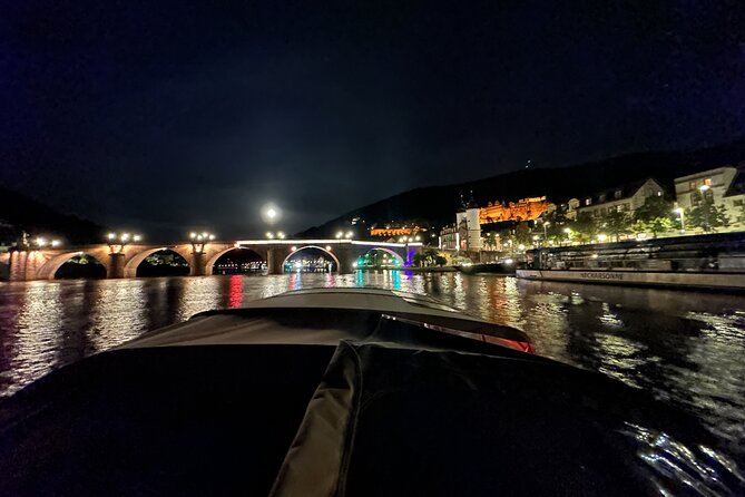 Exclusive private boat trip for couples in Heidelberg - Downstream past villas and filming locations