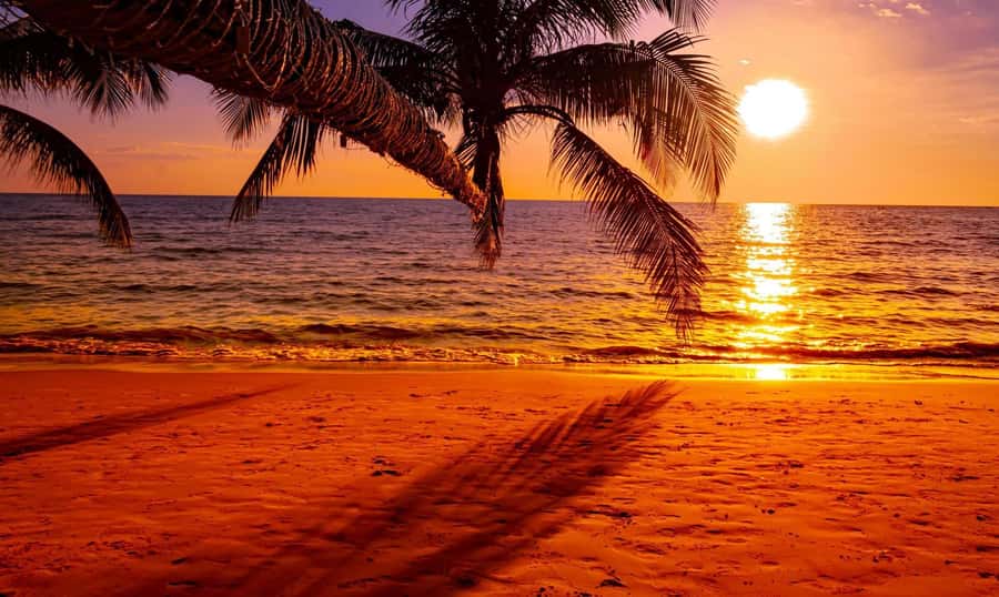 Grand Bay: Honeymoon/Lovers Sunset Tour with Romantic Dinner - Music that turns dinner into a celebration