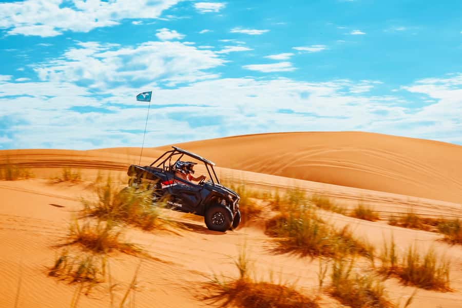 Greater Zion: Couples UTV Tour with Food - Dinosaur tracks add an unexpected stop