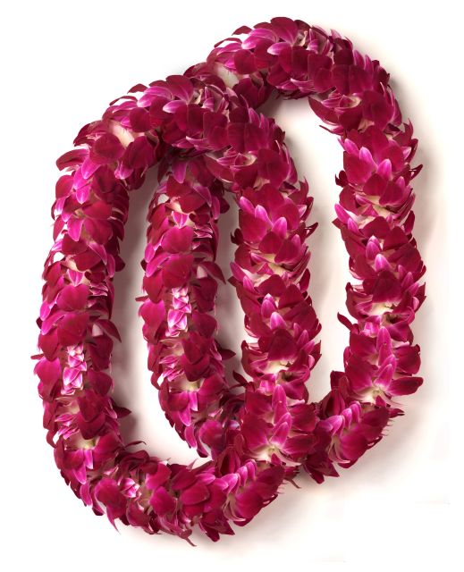 Honolulu Honeymoon Airport Lei Greeting - The photo opportunity is simple but worthwhile