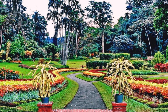 Kandy city tour for couple price - Key points at a glance
