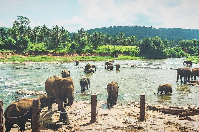 Kandy city tour for couple price - One half-day route through Kandy