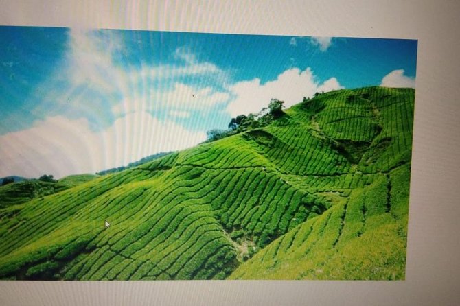 Kerala Honeymoon Package - Key points to know before booking