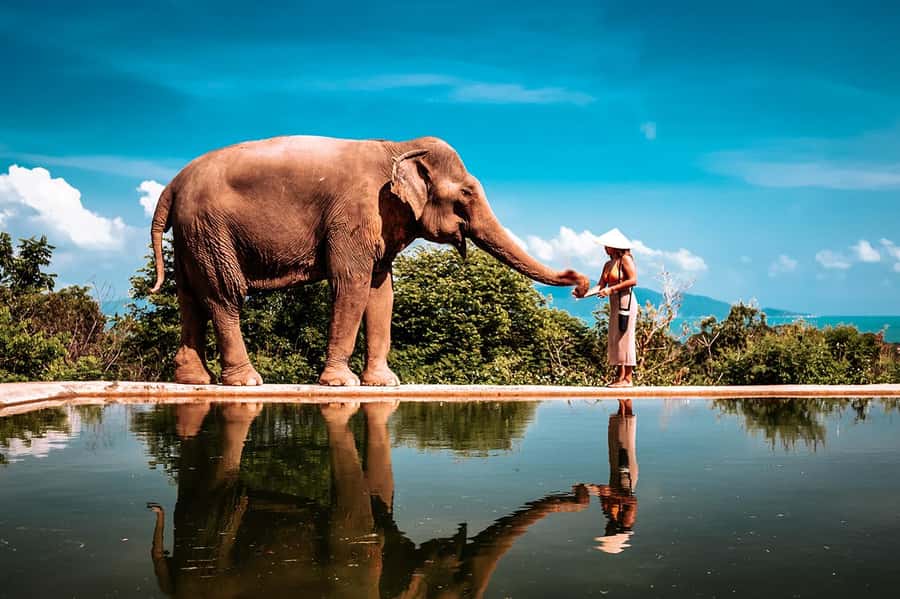 Koh Samui: Private Photoshoot for Couples & Families - Why a private Koh Samui photoshoot is worth considering