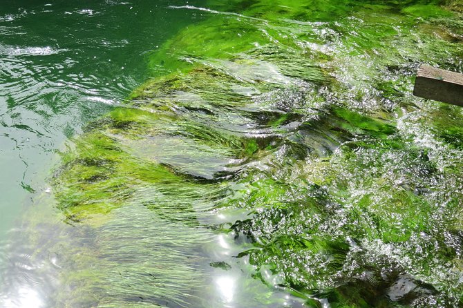 Krka waterfalls luxury tour for singles or couples - Farm Lunch at Anin Dvor Adds a Croatian Table