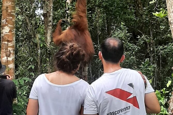 Orangutan Tanjung Puting Honeymoon CoupleTour - Key points to know before booking