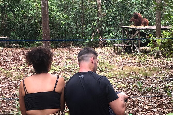 Orangutan Tanjung Puting Honeymoon CoupleTour - Is $1,500 good value for two people?