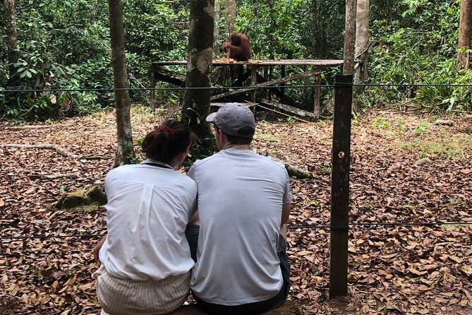 Orangutan Tanjung Puting Honeymoon CoupleTour - From Pangkalan Bun Airport to the Sekonyer River
