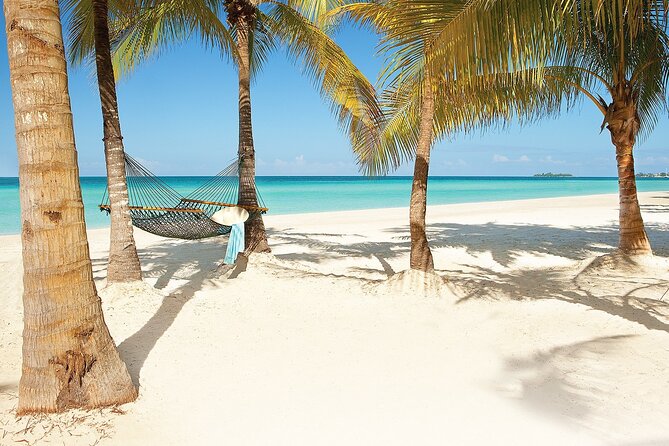 Private Airport Transfer to Couples Swept Away Negril - The first meeting with your driver