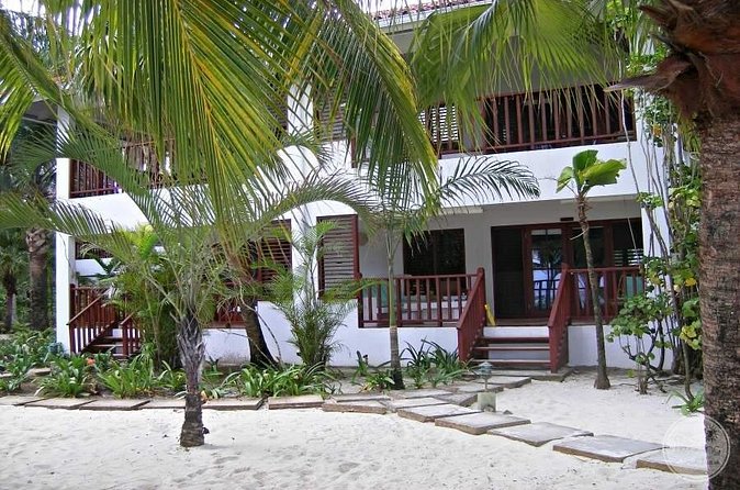 Private Airport Transfer to Couples Swept Away Negril - The driver can add local flavor