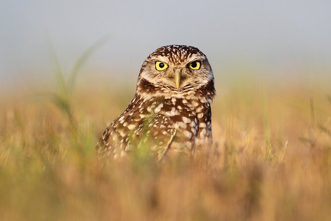 Private Nature Tour for Couples - Wildlife watching in a real setting