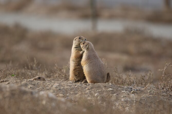 Private Nature Tour for Couples - Ryan’s guide style and the value of flexibility