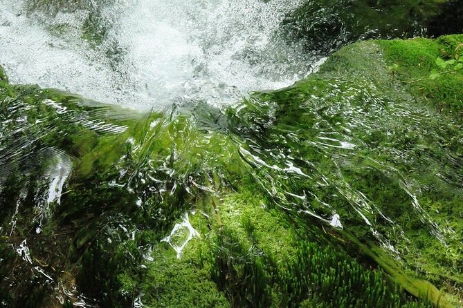 Split to Zagreb or airport Zagreb via Plitvice lakes for singles or couples - Who gets the best value from $346.07