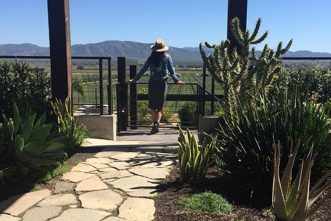 Valle de Guadalupe Couples Wine Tour - Adobe Guadalupe adds lunch and an easygoing pause