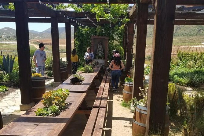 Valle de Guadalupe Couples Wine Tour - Vinos Pijoan slows the pace again