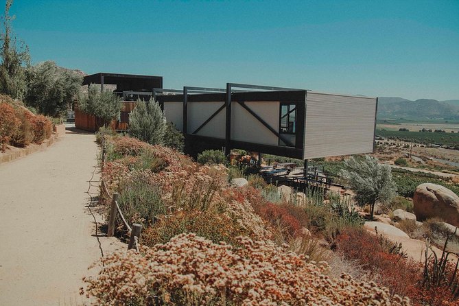 Valle de Guadalupe Couples Wine Tour - Pickup choices matter more than they first appear