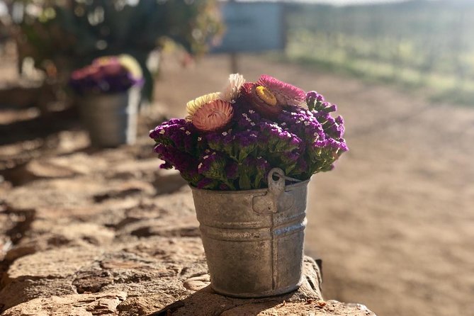 Valle de Guadalupe Couples Wine Tour - Villa Montefiori brings an elegant opening
