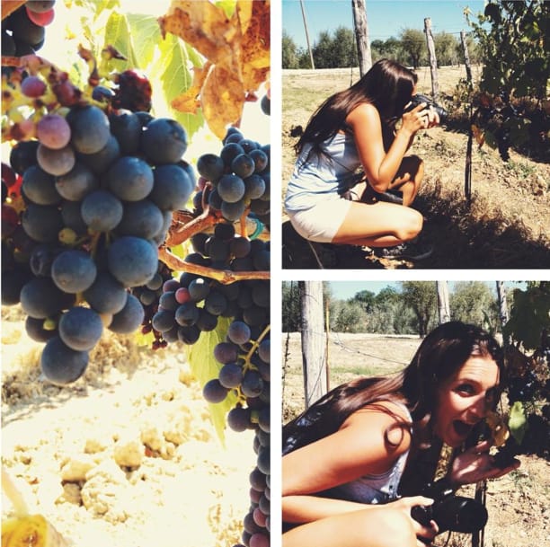 YOUR HONEYMOON IN TUSCANY: Private Chianti Wine Tasting Tour - Rolling hills, vineyards, and olive groves between stops