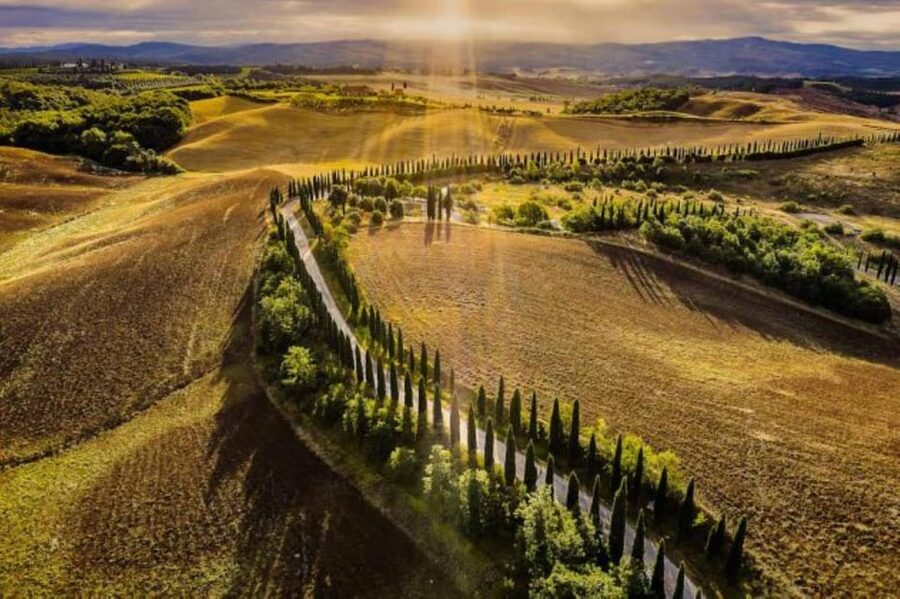 YOUR HONEYMOON IN TUSCANY: Private Chianti Wine Tasting Tour - Piazzale Michelangelo and the return to Florence