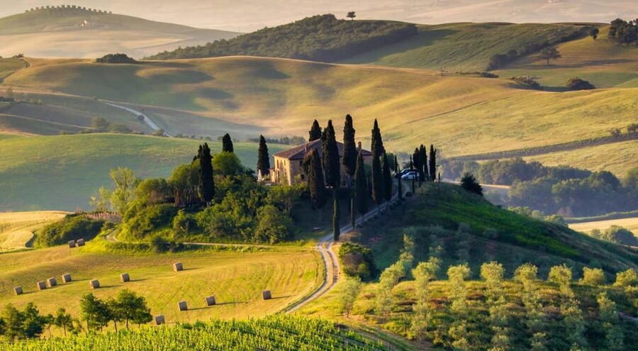 YOUR HONEYMOON IN TUSCANY: Private Chianti Wine Tasting Tour - The guide and private vehicle experience